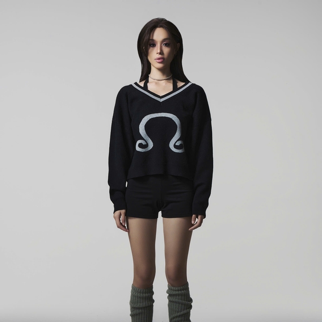 V NECK BOXY KNIT SWEATER OHZ